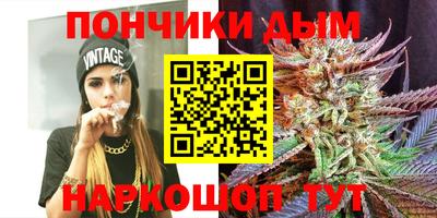 прущие грибы Будённовск
