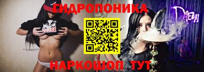 прущие грибы Будённовск
