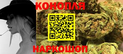 прущие грибы Будённовск