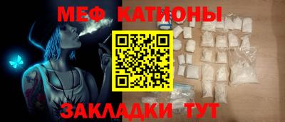 прущие грибы Будённовск