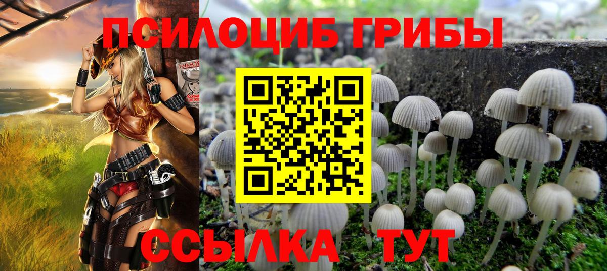 Ливны  как найти   Вход с VPN  Псилоцибиновые грибы прущие грибы  Псилоцибиновые грибы MAGIC MUSHROOMS 