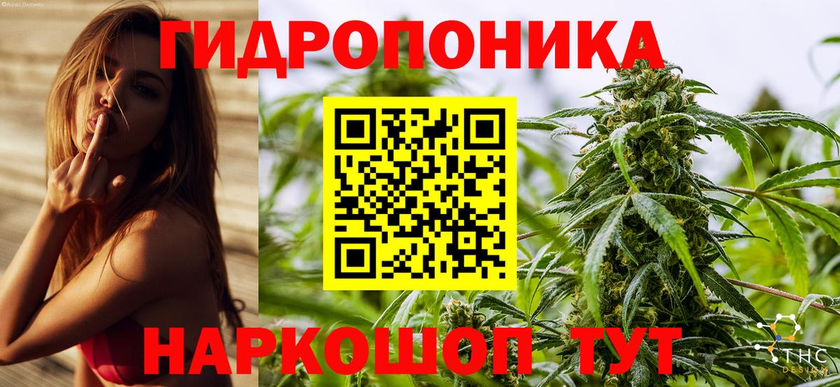 Конопля MAZAR  МАРИХУАНА ГИДРОПОН  Бошки Шишки SATIVA & INDICA  Вход с VPN  Ливны 